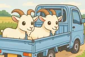 軽トラックの荷台に乗せられた沖縄のヤギが並んで運ばれている様子を描いたイラスト
